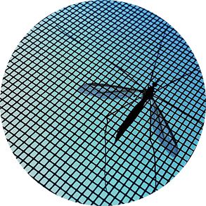 Insect Screen